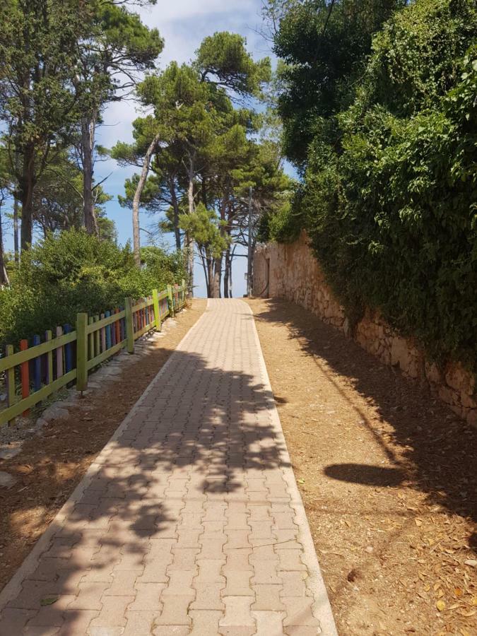 Apartment Zdenka Veli Lošinj Exteriör bild